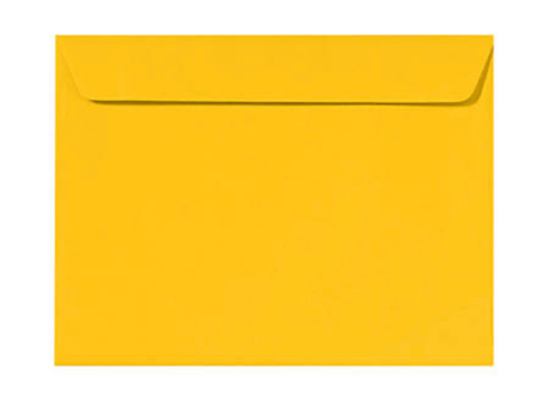 Sobres Manila 10 X 15 BOX 250 Enterprise Platinum Inc sobres-manila-10-x-15-box-250-enterprise-platinum-inc